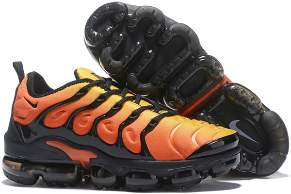 Air VaporMax Plus TN 011